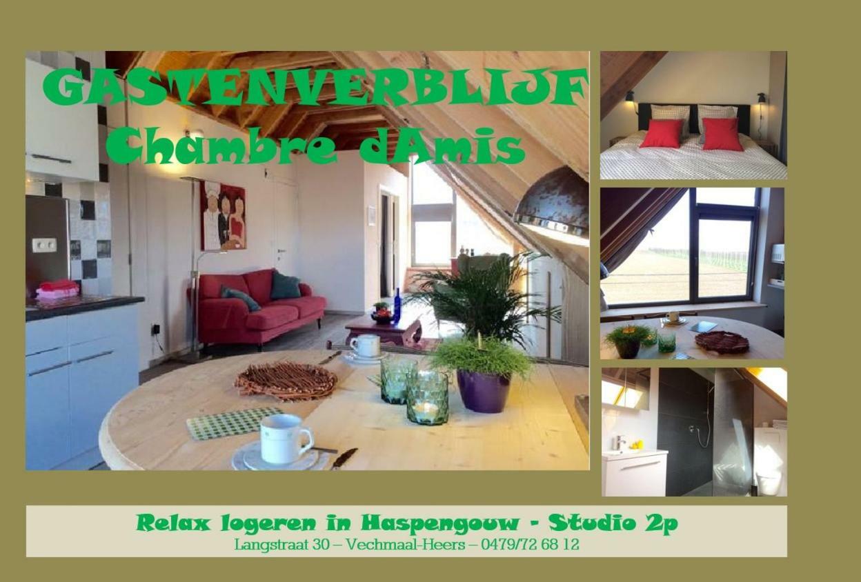 Gastenverblijf Chambre Damis - Geniet Van Haspengouw, Buiten En Binnen! Heers Exterior foto
